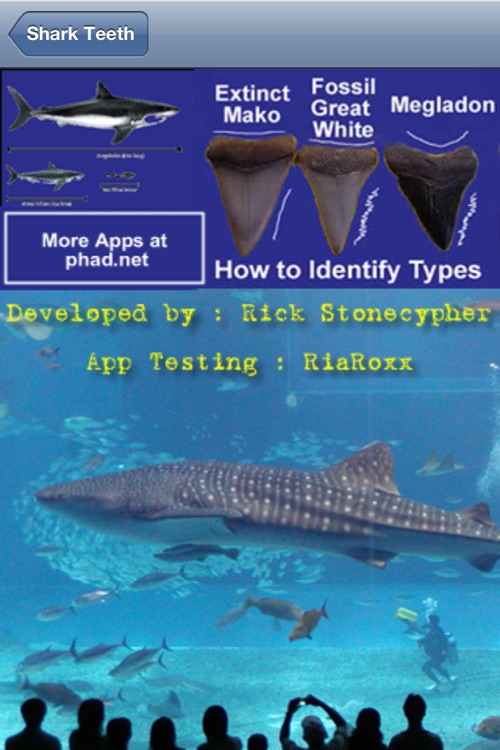 Shark Tooth Guide
