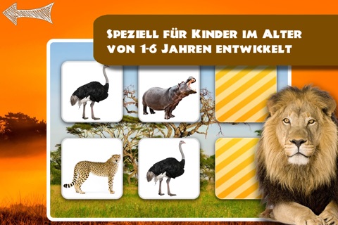 Memo Game Wild Animals Photo screenshot 2