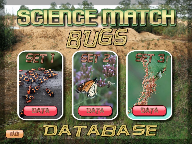 Science Match Bugs screenshot-3