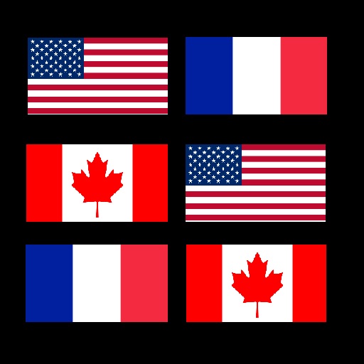 Flags Matching iOS App