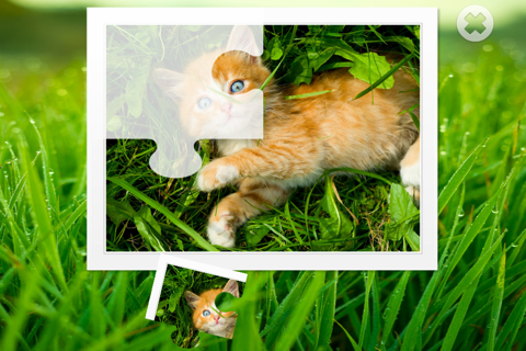 Cats puzzle - fun for kids screenshot 3