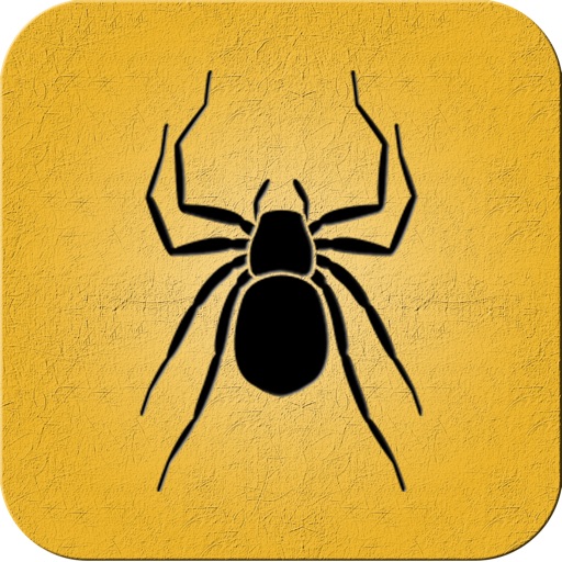 小蜘蛛上网助手 icon