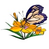 Butterfly Förskola