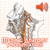 Anatomy Pronunciations-Hipposoft, LLC