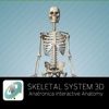 Skeletal System 3D - Anatronica Interactive Anatomy