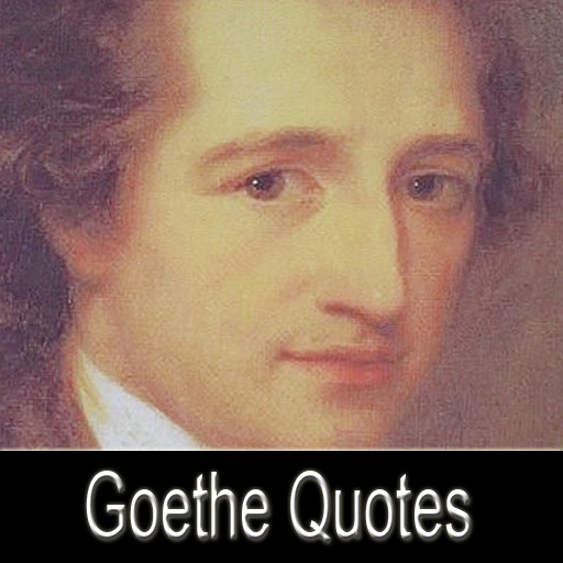 Johann Wolfgang von Goethe Quotes Pro