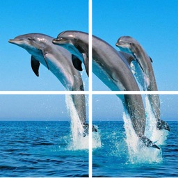 Ocean Puzzle (Worldwide)