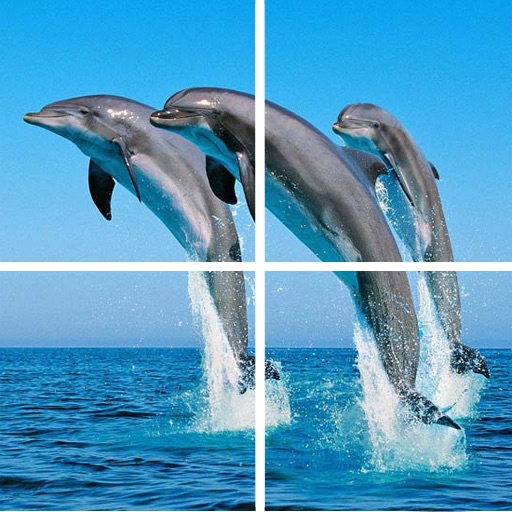 Ocean Puzzle (Worldwide)