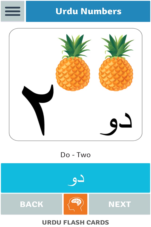 Urdu Flash Cards screenshot 4