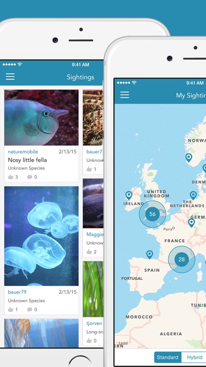 Fishes 2 PRO - The Field Guide to Central European Inland Waters, the Baltic Sea and the North Sea screenshot-4