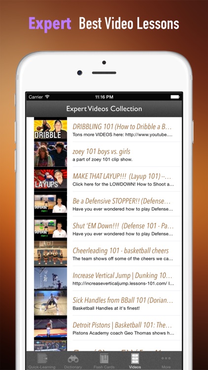 Basketball 101: Quick Learning Reference with Video Lessons and Glossary screenshot-4