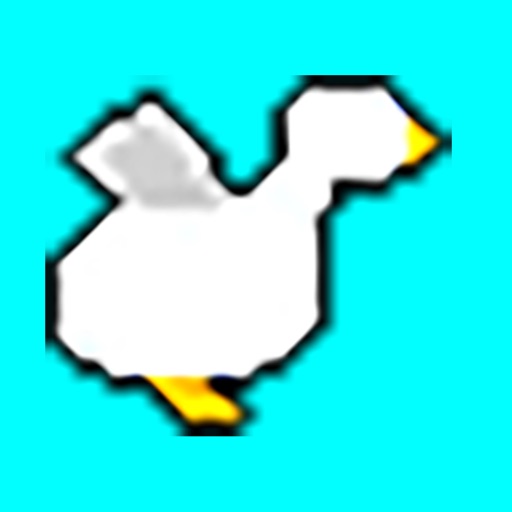 Chicken-Dash iOS App