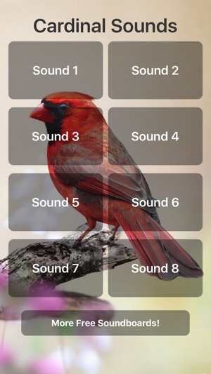 Cardinal Sounds(圖1)-速報App