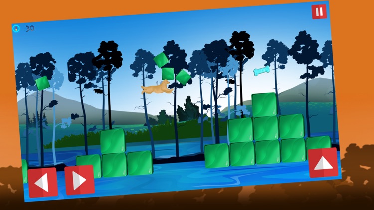 Dog Agility 2 : The dressage race contest - Free