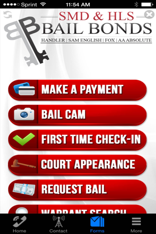 HLS/SMD Bail Bonds screenshot 4