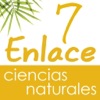 Vector Z | Enlace Ciencias Naturales 7 Vector Z | Enlace Ciencias Naturales 7