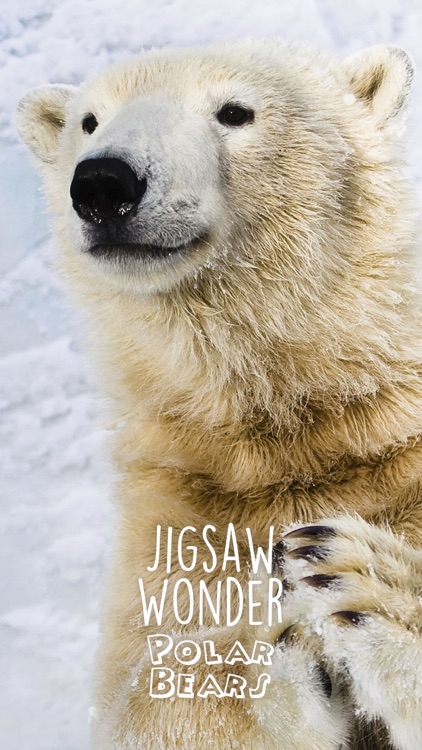 Jigsaw Wonder Polar Bears for Kids screenshot-3