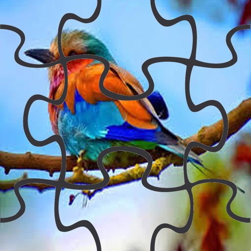 Birds JigSaw Puzzle Game for Kids Free