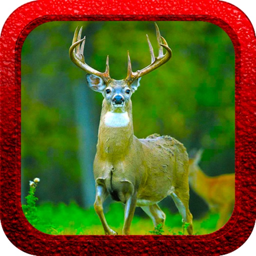 Whitetail Deer Hunting icon