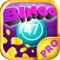 Bingo Ball Room PRO - Play Online Casino and Number Card Game for FREE !