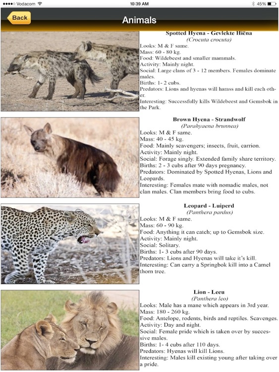 Kgalagadi Park screenshot-4