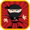 Master Angry Ninja Hero