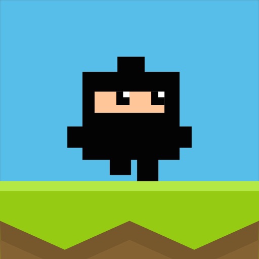 Block Ninjas iOS App