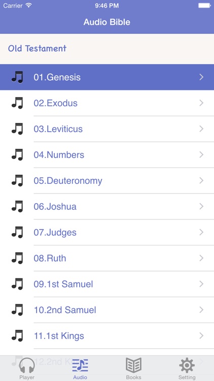 NRSV Bible (Audio & Book)