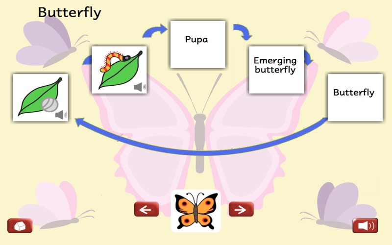 Life Stages thumbnail 3
