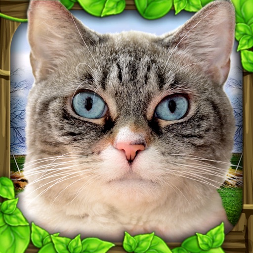 Stray Cat Simulator Icon