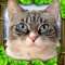 App Icon for Stray Cat Simulator App in Denmark IOS App Store