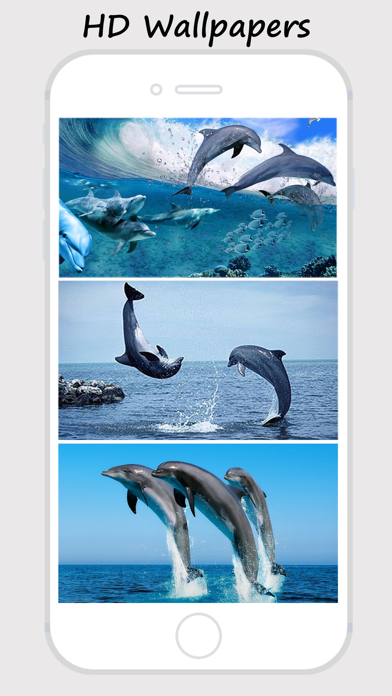 How to cancel & delete Dolphin Wallpapers - Best Collections Of Dolphin Pictures from iphone & ipad 2