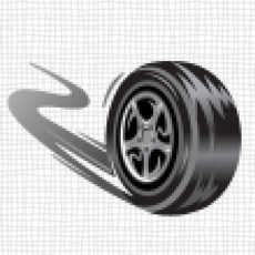 Activities of Wheel Renegade!