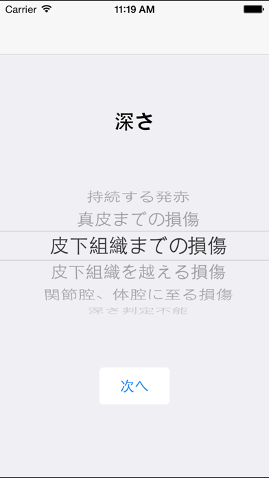 褥瘡評価 screenshot1