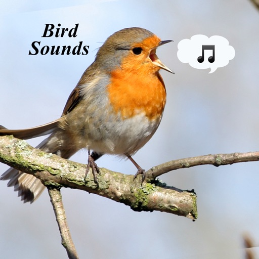 Bird Sounds - Ultimate Sounds Collections iOS App