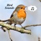 Bird Sounds - Ultimate Sounds Collections