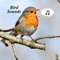 AWESOME BIRD SOUNDS MORE THEN 130 + AND SWEET LOOKING GRAPHICS