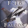 Get F-16 Fighting Falcon - Combat Flight Simulator of Infinite Fighter Hunter for iOS, iPhone, iPad Aso Report