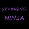 Springing Ninja