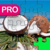 Top Jigsaw Puzzle With Tropical Adventures World