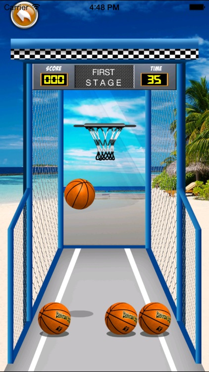 Amazing Real Basket Ball Free Game