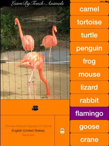 RealZoo(your baby can see animals at any time and in any where) screenshot 4