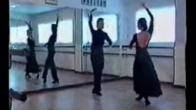 Flamenco Dance Steps(圖3)-速報App