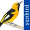 *** Planning to go bird watching in Ecuador