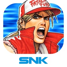 Activities of FATAL FURY SPECIAL