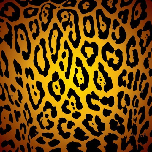 Cheetah Wallpapers HD icon