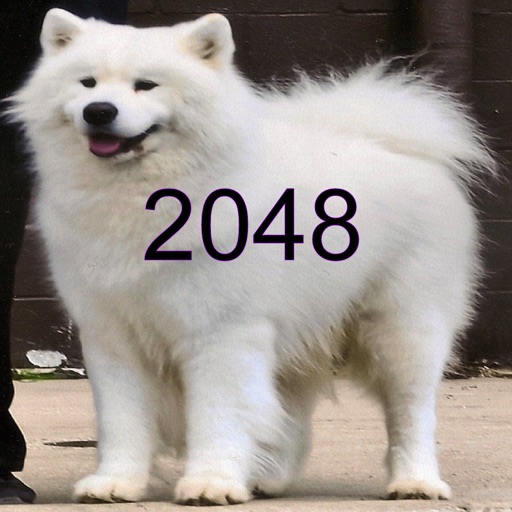 Samoyed 2048 iOS App