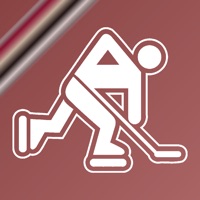 Name It! - Arizona Hockey Edition pour PC
