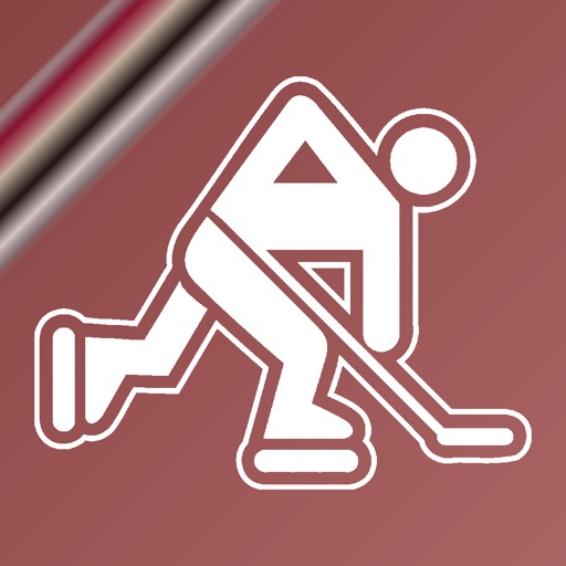 Name It! - Arizona Hockey Edition icon