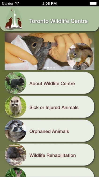 Wildlife Help - Toronto Wildlife Centre Rescue Injured, Sick & Orphaned Wild Animals